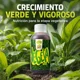 thumbnail image 5 of Vegetativo Fertilizante Orgánico 250 ml para Crecimiento y Vigor, 5 of 8
