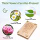 thumbnail image 5 of Kit de prensa de flores Suziko Large para adultos y niños, 5 of 9