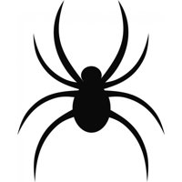 Rienda Libre Graphics - Decomural Spider Halloween Ws-17798