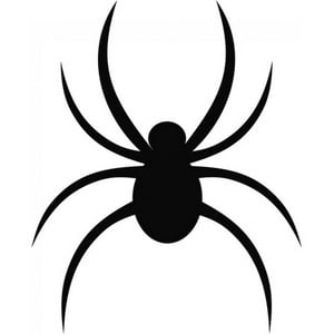 Rienda Libre Graphics - Decomural Spider Halloween Ws-17798