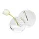thumbnail image 1 of Vaso Bud Vase TIZO Design, cristal redondo, transparente y elegante, 1 of 6