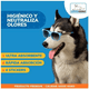 thumbnail image 4 of 50 Pañales Sabanillas Entrenamiento Mascota Perro 45x60 Cms, 4 of 5