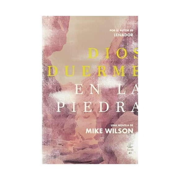 Libro Dios Duerme En La Piedra 770