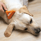 thumbnail image 5 of Cepillo Deslanador Para Perros Pelo Largo Talla M, 5 of 7
