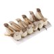 thumbnail image 2 of 12 Piezas De Pájaros Del Bosque Posados, Plumas Artificiales, Adornos Para El Hogar, Decoración, 2 of 3