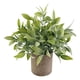 thumbnail image 5 of Planta Suculenta Falsa Artificial En Maceta Mini Plantas En Maceta Decoración De Jardín Para El Hogar Hojas, 5 of 5