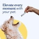 thumbnail image 5 of Polvo Probiótico Dog Digestion Gut Health 30 Ml, 5 of 9