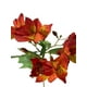 thumbnail image 3 of Flor Astromelia Naranja 63cm, 3 of 3