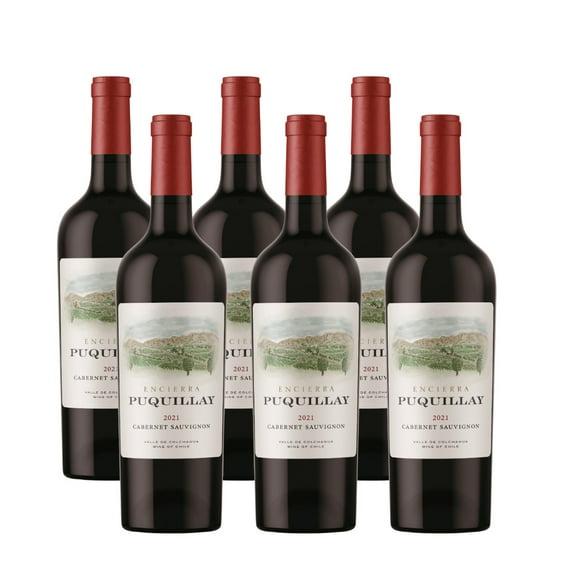 Pack 6 botellas Puquillay Vino Tinto Cabernet Sauvignon 2021 750 ml 14% Alc.