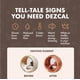 thumbnail image 3 of Tabletas Desincrustantes Dezcal 120 Uses Universal, 3 of 6