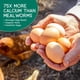 thumbnail image 4 of Larvas de mosca Black Soldier de la marca Chicken Feed Value Grubs, 1,8 kg, 4 of 8