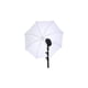 thumbnail image 1 of Paraguas - Reflector, 1 of 2