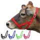 thumbnail image 1 of Cabestro de Nylon Rojo X-Grande Derby Originals, 1 of 8