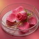 thumbnail image 4 of Perfume OLFACTORY X Bulgarian Rose Vetiver 100 ml, 4 of 7