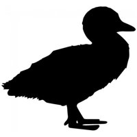 Rienda Libre Graphics - Decomural Duck Bird Ws-32910