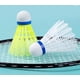 thumbnail image 5 of Set 6 Plumas Badminton Volantes Nylon Plumilla Pelota, 5 of 5
