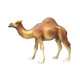thumbnail image 2 of Figura Animal Camello Buinzoo, 2 of 2
