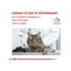 thumbnail image 4 of Royal Canin pouch Gastrointestinal Gato 85g (12 unidades) blanco, 4 of 8