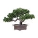 thumbnail image 2 of Planta De Maceta De árbol De Bienvenida Artificial Bonsai Versátil Para Hall Vestibule Style B, 2 of 3
