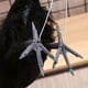 thumbnail image 4 of 1pc, Halloween Crow Feather Decoration - Perfect for Parties and Decorations, 4 of 4