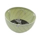 thumbnail image 4 of Cesta Colgante para Plantas Colgantes, Maceta Decorativa para Montar en La Pared, Hecha de Plástico Sólido, Adecuada para Embellecer El Jardín, El Bal Verde, 4 of 5