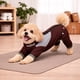 thumbnail image 4 of Suéter para perro Pet Life 'Tail Runner' ligero y ventilado, 4 of 9