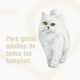 thumbnail image 3 of Pack alimento húmedo para gato FANCY FEAST® Goulash con Pavo 15x85g, 3 of 4