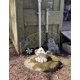 thumbnail image 4 of Estatuilla Seasons Crazy Bonez Skeleton con forma de elefante, 14 cm, 4 of 8