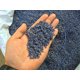 thumbnail image 2 of Cogollos de lavanda secos TooGet Fragrant Ultra Blue Grade 500 g, 2 of 5