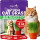 thumbnail image 1 of Hierba para Gatos NatureZ Edge 8 oz Non-GMO Interior, 1 of 3