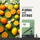 thumbnail image 4 of Coffee Groundwork Ethiopia Heirloom Blend, tostado ligero, 350 ml, 4 of 6