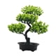 thumbnail image 5 of bonsái artificial, plantas de imitación, decoración de jardín en maceta de bienvenida para interiores, decoración de plantas falsas pequeñas Verde claro, 5 of 5