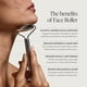 thumbnail image 2 of Rodillo facial TALOVA de acero inoxidable de grado 304 para rostro, 2 of 6