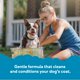 thumbnail image 4 of Champú para Perro Buddy Grooming Wash 2 en 1 Romero y Menta 480 ml, 4 of 8