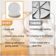 thumbnail image 5 of Platos de Cena Brew To A Tea 27 cm con Borde Dorado - Juego de 6, 5 of 9
