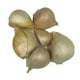 thumbnail image 1 of Ajo Chilote Bandeja, 250 gr, 1 of 2