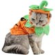 thumbnail image 1 of Disfraz de calabaza para gato ANIAC con sombrero y capa para Halloween, 1 of 3