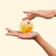 thumbnail image 4 of Crema de Noche Wild Ferns Miel de Manuka 80+ 100 ml Piel Seca a Normal, 4 of 8