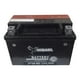 thumbnail image 1 of Bateria para Moto Bajaj Dominar 250 - 400 Ug - Adv, 1 of 3