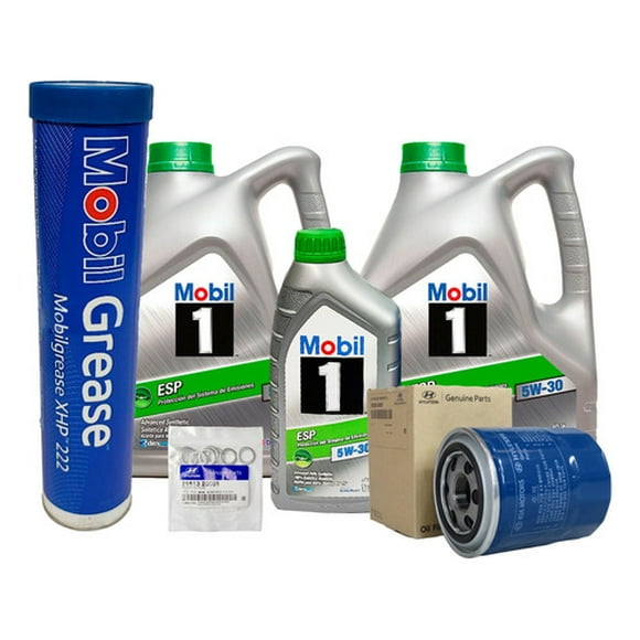 Kit Mantención Hyundai Ex8 Migthy Hd65 Max 2.9 Diesel 20-23