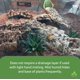 thumbnail image 4 of Sustrato Bioactivo Desértico de 10 L BioBedding – Josh's Frogs, 4 of 9