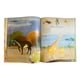 thumbnail image 3 of Libro Descubramos La Evolucion De Los Animales T/dura Lexus, 3 of 4
