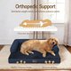 thumbnail image 2 of Cama ortopédica XL lavable para perros Comfort Expression, 2 of 7