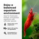 thumbnail image 3 of Tratamiento para Acuario Brightwell Aquatics 500 ml, 3 of 7
