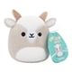 thumbnail image 5 of Paquete de 6 micromallows originales de Toy Squishmallows con Axel, Lune, Floyd, Orphie, Pep y Walker, 5 of 7