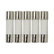 thumbnail image 1 of Fusible Ceramico Divine Lighting 5x20mm 8A 250V Lento, 1 of 3