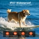 thumbnail image 5 of Collar De Adiestramiento Para Perros Alcance 3300 Pies Impermeable Y Recargable, 5 of 9