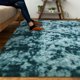 thumbnail image 2 of Alfombra DweIke 152x244 cm de Peluche Antideslizante Lavable a Máquina, 2 of 8