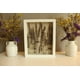 thumbnail image 4 of Compuesto para secar flores ACTIVA Art Silica Gel, 1,8 kg, blanco, 4 of 7