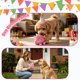 thumbnail image 4 of Juguete para perro HUGEME Monstruo de peluche rosa con chirrido de cumpleaños, 4 of 8